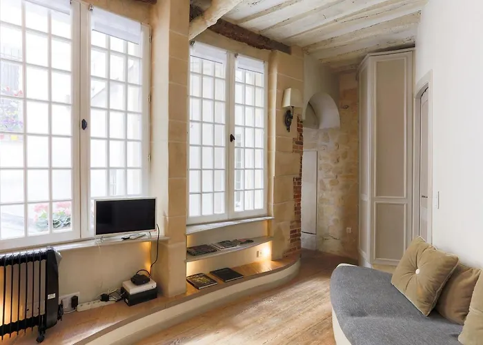 Louvre Apartment Paris